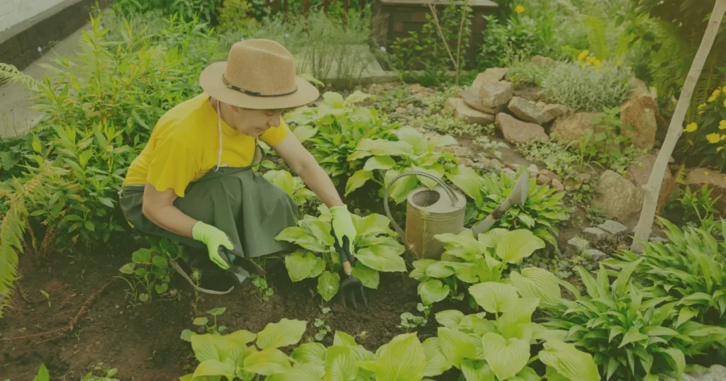How to Grow Tomatoes in Pots — Step by Step